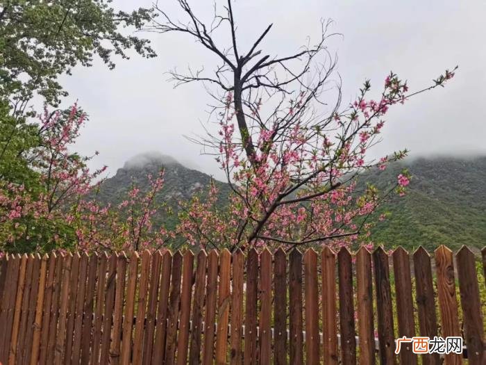 北京的院子，北京这个山里院子的地段和景观无法复制
