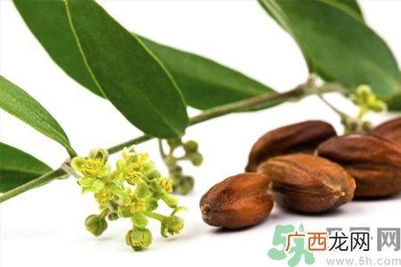 荷荷巴油可以直接擦脸吗？荷荷巴油怎么去黑头？
