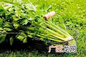 芹菜汁能去斑吗?芹菜汁可以做面膜吗?