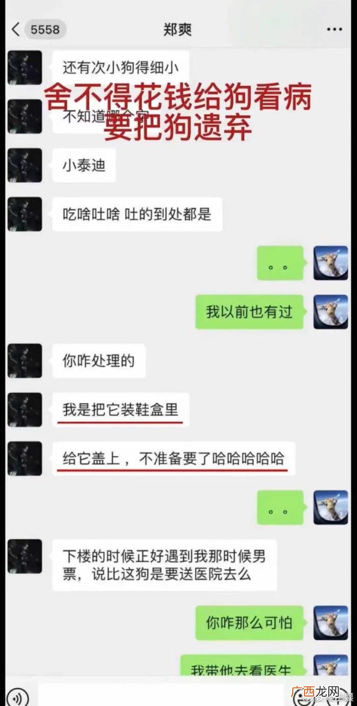 胡彦斌郑爽,胡彦斌早就在歌里暗指郑爽的人品了
