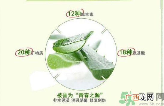 the saem得鲜和自然乐园哪个好？得鲜的芦荟胶和自然乐园哪个好？