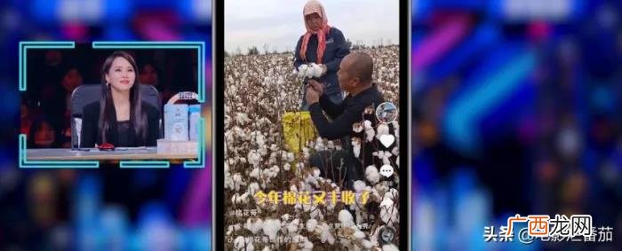 真人秀节目，这档民间真人秀节目拿下了收视王牌