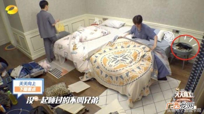 白敬亭单身，你以为只有白敬亭王一博凭实力单身
