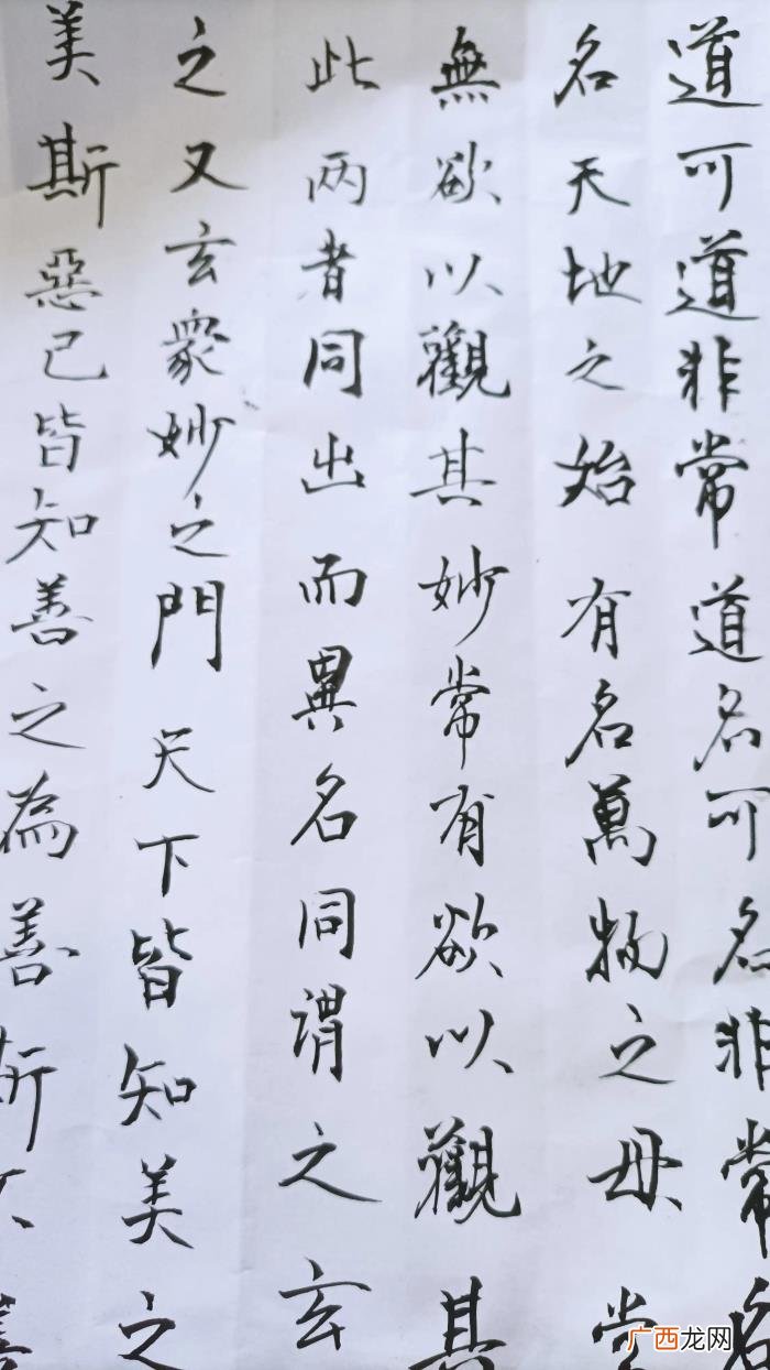 撒贝宁领导，撒贝宁、任鲁豫和尼格买提谁可能是央视未来小领导
