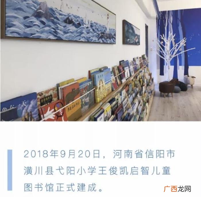 王俊凯小学，当红歌手TFBOYS王俊凯给x信阳潢川一小学建造图书馆