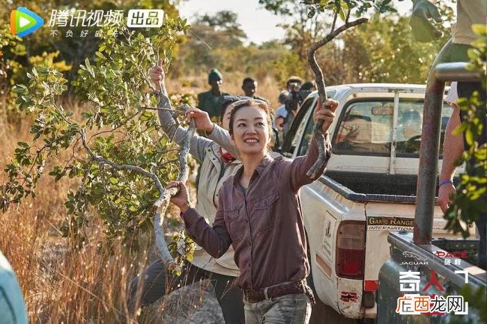 综艺真人秀，这样的真人秀才是真·国产综艺清流啊