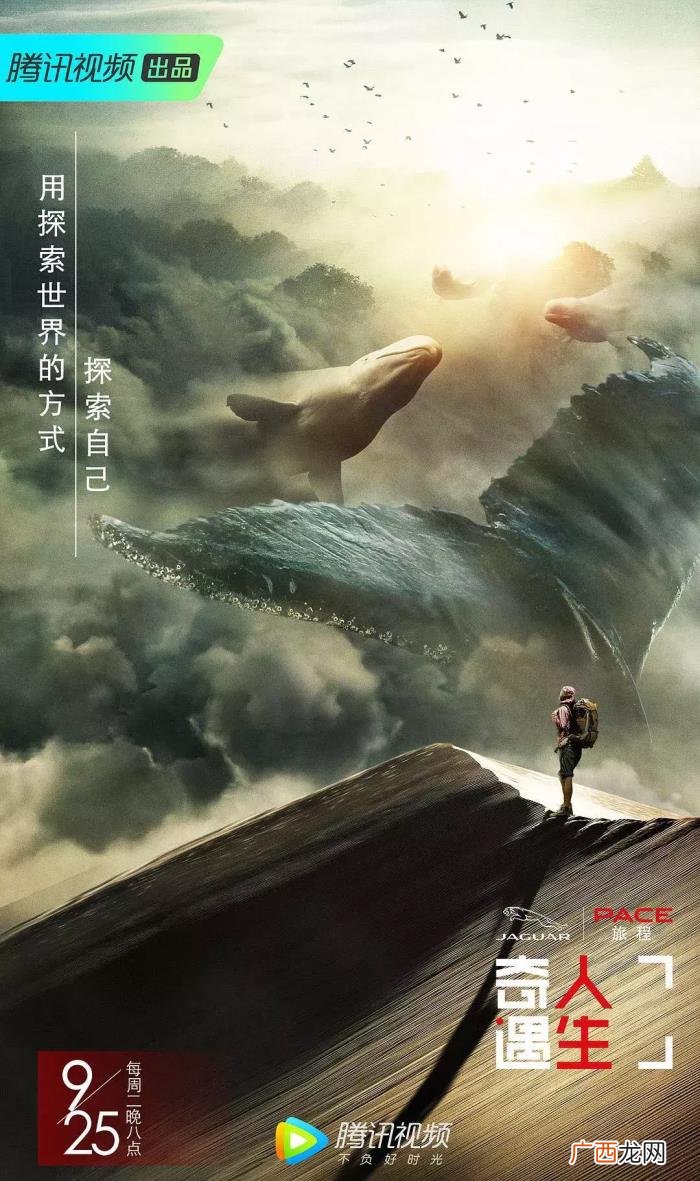 综艺真人秀，这样的真人秀才是真·国产综艺清流啊