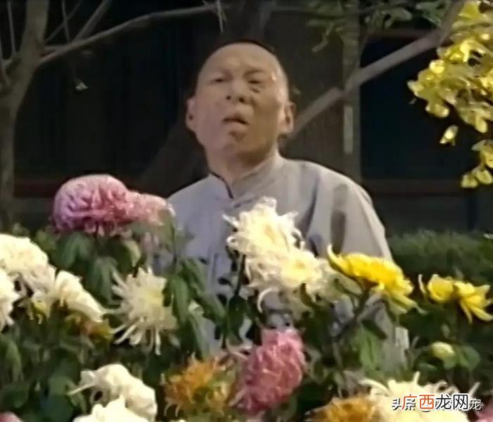 大宅门里的,宅门里的下人的结局的悲催令人惋惜