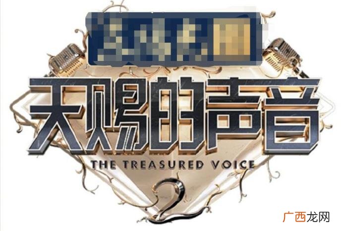单依纯参加，单依纯参加中国好声音后第二档综艺