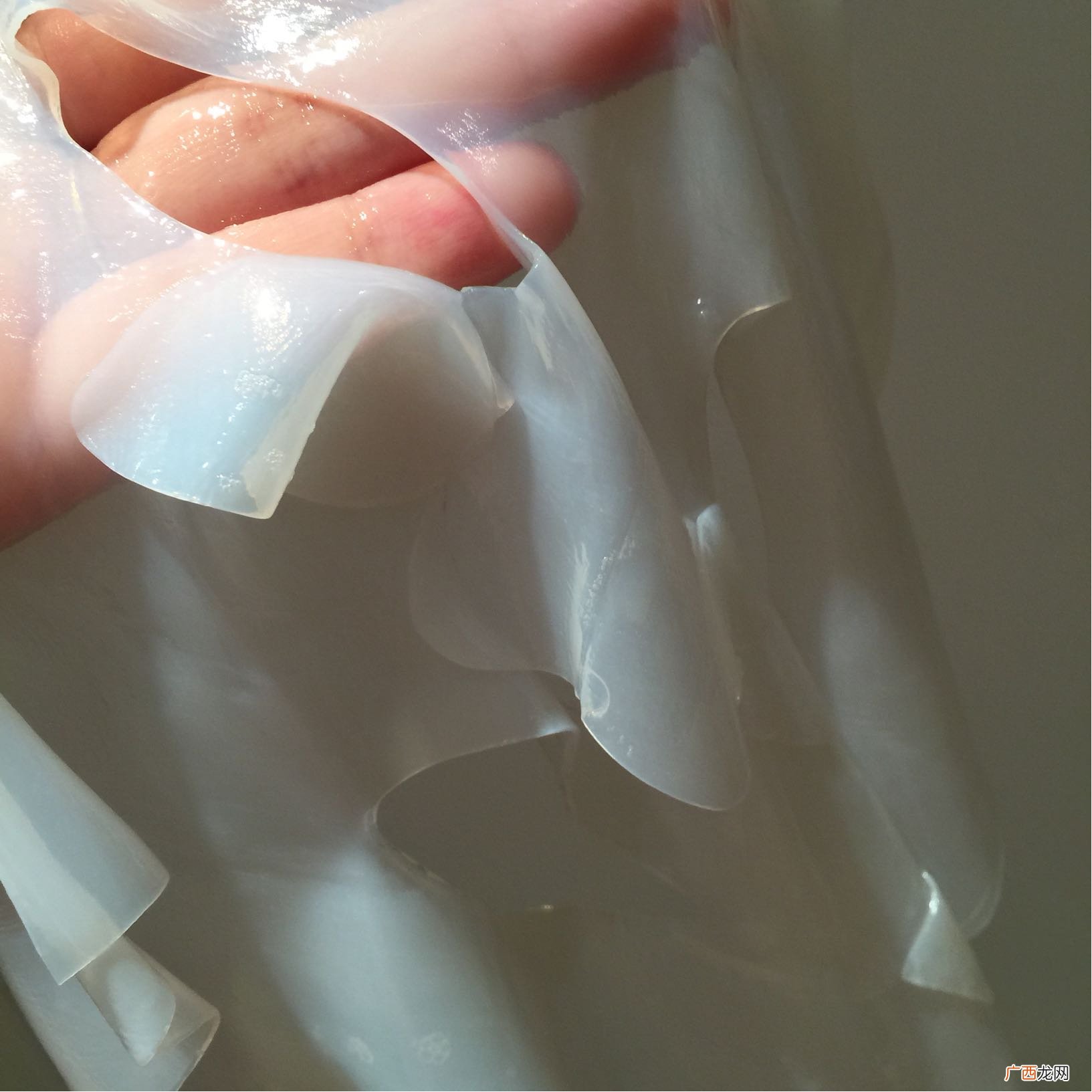 宠爱之名生物纤维面膜多少钱?