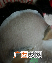 春雨和ahc哪个好用？春雨面膜和ahc哪个好？