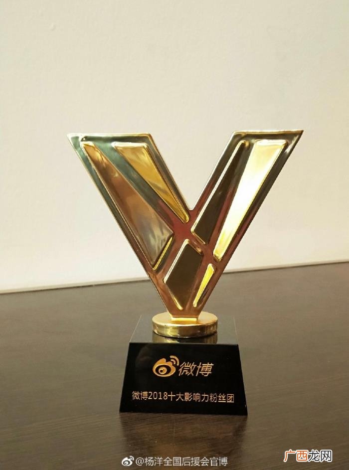 杨洋后援会，杨洋全国后援会获微博十大影响力粉丝团称号