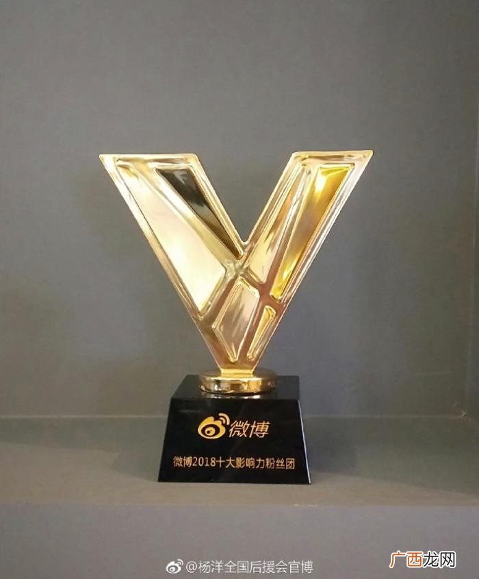 杨洋后援会，杨洋全国后援会获微博十大影响力粉丝团称号