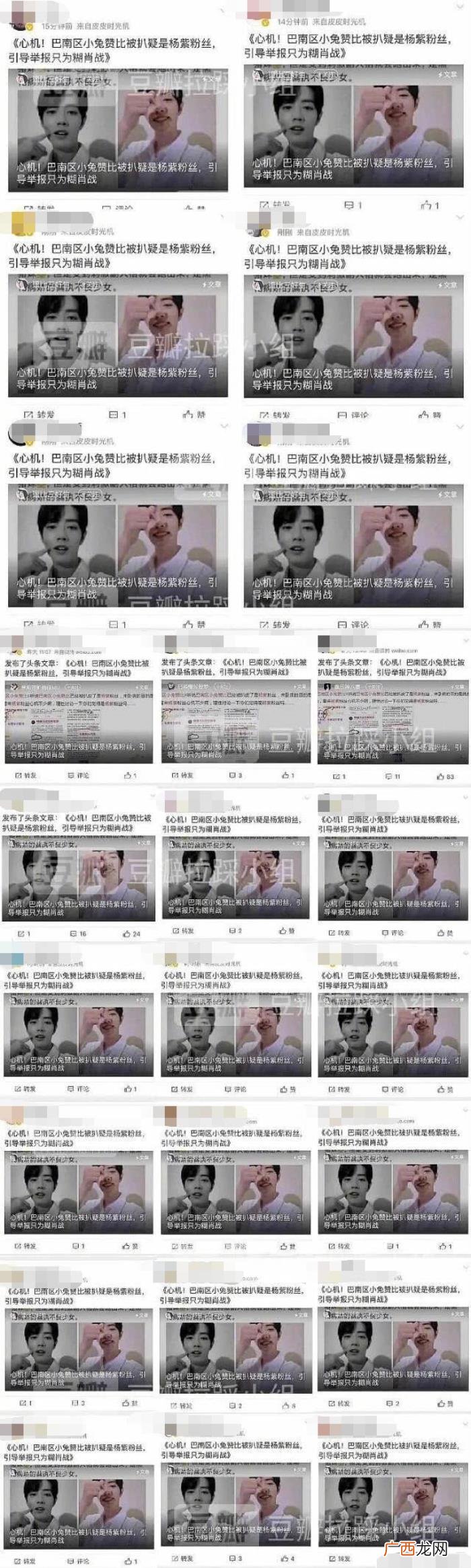 杨紫黑肖战，网曝杨紫粉丝引导举报AO3只为搞糊肖战
