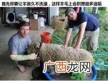 澳洲绵羊油真假 澳洲绵羊油australian creams真假鉴别