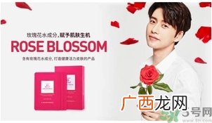 jayjun玫瑰面膜价格 jayjun玫瑰面膜功效
