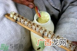 蜂王浆可以直接涂在脸上吗?蜂王浆可以做面膜吗?