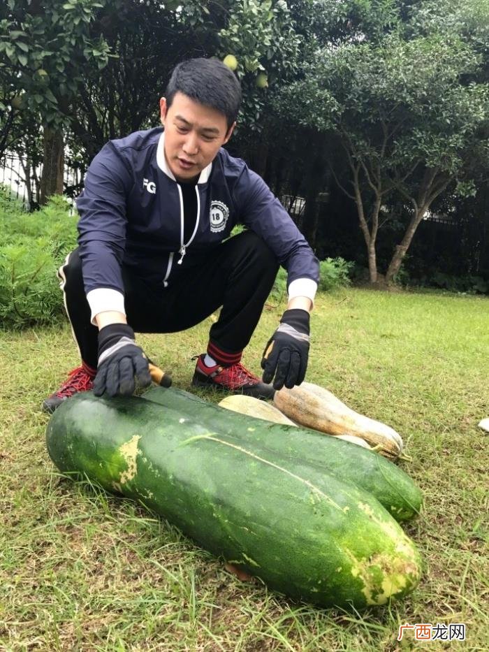 陆毅范冰冰，陆毅、范冰冰、陈冠希一起主演的这部剧