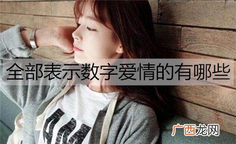 全部表示数字爱情的有哪些？
