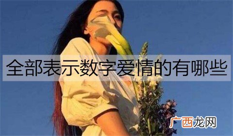 全部表示数字爱情的有哪些？