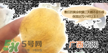 shangpree香蒲丽黄金面膜怎么样？好用吗？