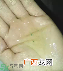 润膏和吕哪个好？ 润膏洗发水和吕哪个好用？