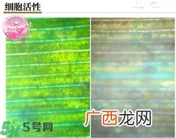 pola黑ba泡沫面膜好用吗?pola黑ba泡沫面膜怎么样