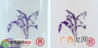 娥佩兰薏仁水真假鉴别图 Naturie薏仁水真假辨别对比