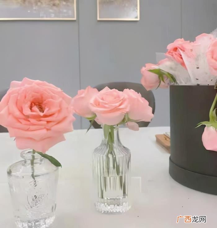 赵露思豪宅，&amp;quot;高产女王&amp;quot;赵露思晒豪宅