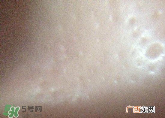 dmc欣兰冻膜怎么样?dmc欣兰冻膜好用吗?