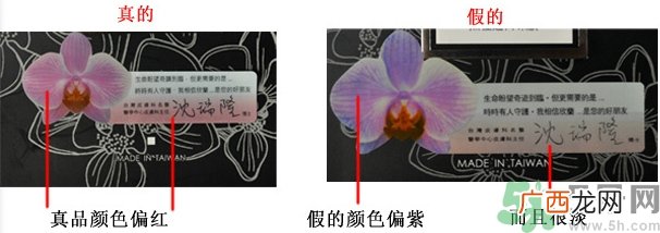 dmc欣兰冻膜真假怎么鉴别?dmc欣兰冻膜真假辨别图