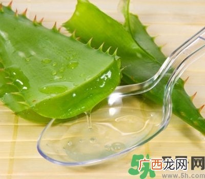 芦荟胶可以当睡眠面膜用吗?芦荟胶坐睡眠面膜效果怎么样?