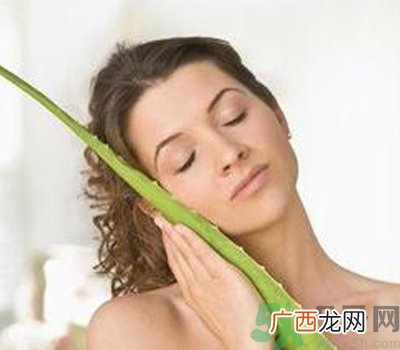 芦荟胶会堵塞毛孔吗？芦荟胶应该怎么用？