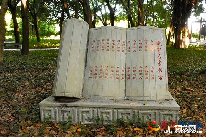 国学大讲堂，兴义八中开展2021年度国学大讲堂系列活动