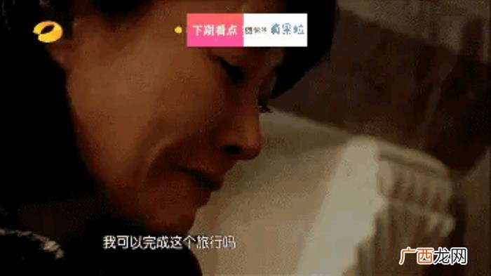 郑爽毛阿敏，花儿与少年2有蔫坏的郑爽和老狐狸毛阿敏