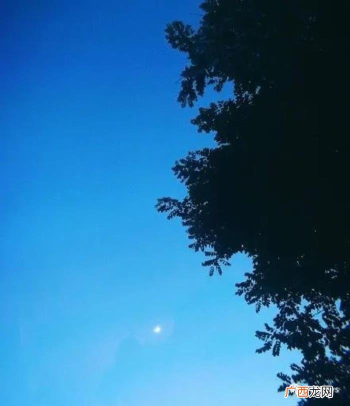 王源刚出道,王俊凯和王源刚出道的时候一起路演
