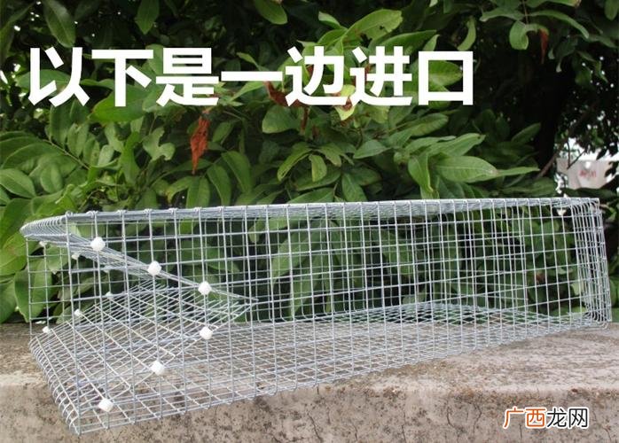 养蛇需要什么设备 自制蛇养殖箱方法