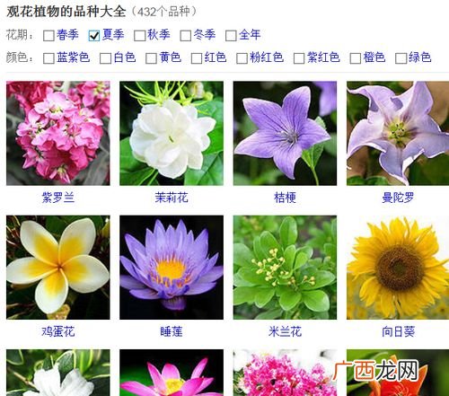 扦插的植物有哪些 扦插花卉图片及名称