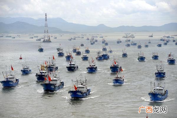 舟山水产品交易中心 舟山水产交易量