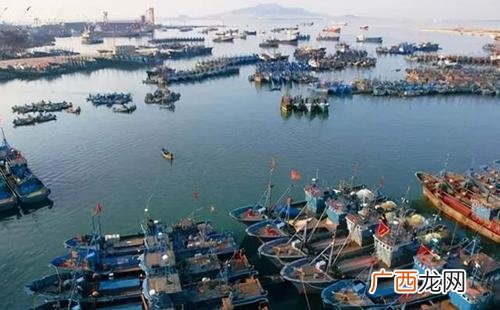 舟山水产品交易中心 舟山水产交易量