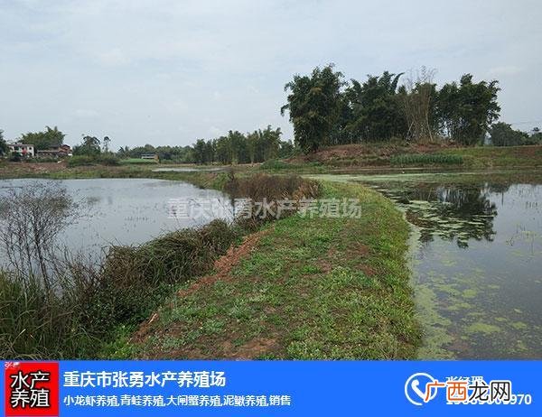 重庆市水产技术推广总站 重庆水产交流群