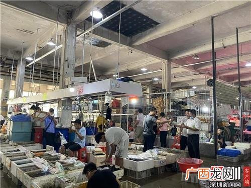 山东水产批发市场 杏坛最近的水产批发市场