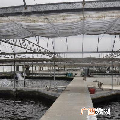 水产养殖专业 冷门专业 养殖水产公司