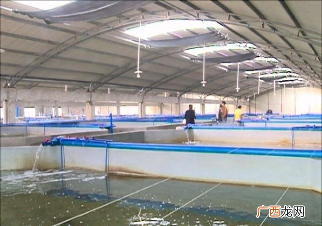 广州正海水产科技有限公司 广州水产品有限公司