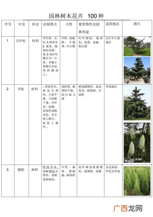园林植物分类 园林植物 乔木