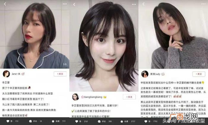 辛梓蕾发型,辛芷蕾换了个发型被网红们纷纷求同款