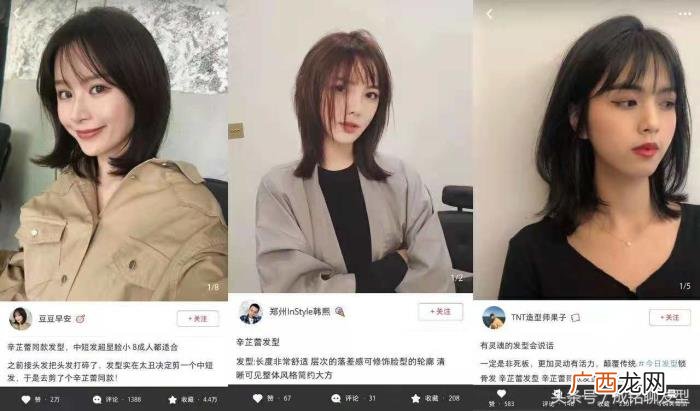 辛梓蕾发型,辛芷蕾换了个发型被网红们纷纷求同款