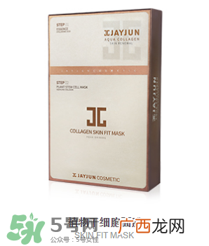 韩国Jayjun水光樱花面膜使用方法 水光樱花面膜怎么用？