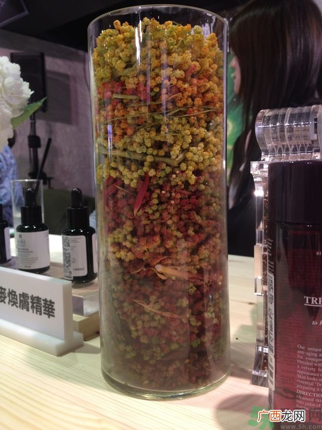 科颜氏藜麦焕肤精华怎么样？科颜氏藜麦焕肤精华好用吗