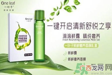 一叶子鲜补水保湿眼霜怎么样？